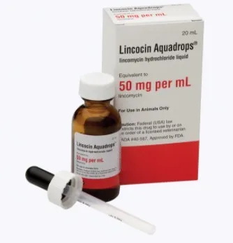 LINCOCIN.