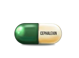 cephalexin