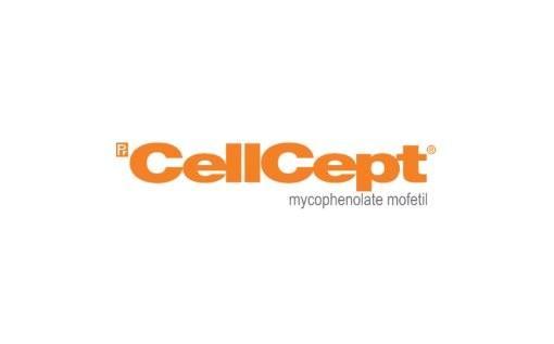 Buy Cellcept Mycophenolate Mofetil | Discount Prescription Drugs | Rxdrugscanada.com